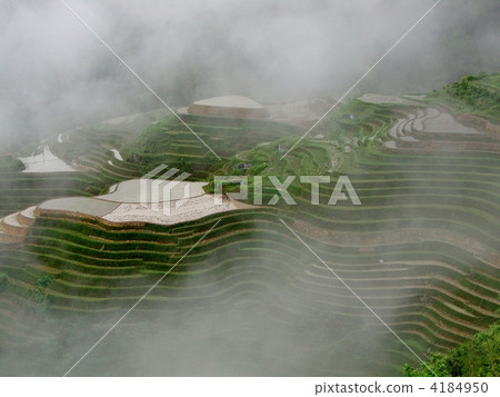 China Longsheng China Longsheng 4184950