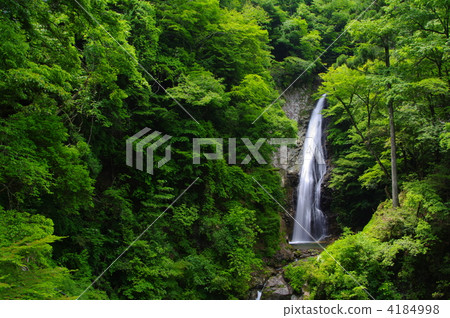 Hara immobile waterfall 4184998