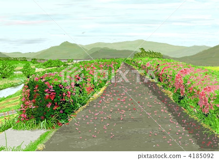 PC picture "Azalea of the Sambagawa" 4185092