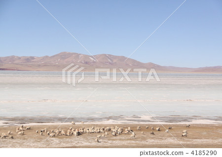Tibetan railway car window 7 Tibetan railway car window 7 4185290