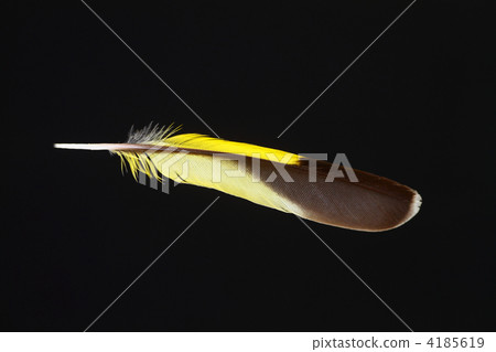 Mahiwa的風 Mahiwa的風 4185619