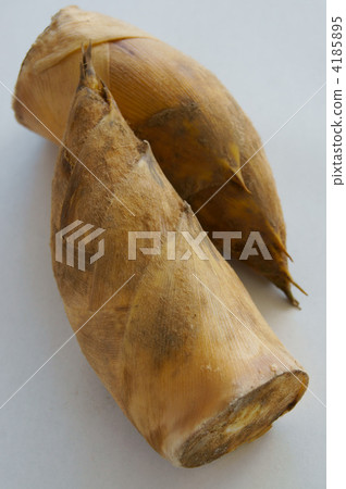 Bamboo shoot image Bamboo shoot image 4185895