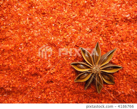 八角茴香 4186766