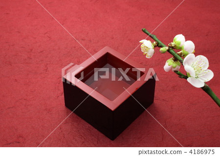 Misu and plum blossoms Misu and plum blossoms 4186975