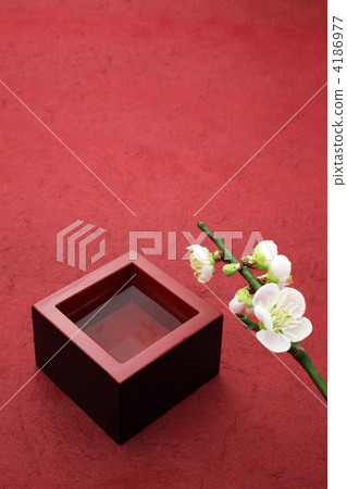 Misu and plum blossoms Misu and plum blossoms 4186977