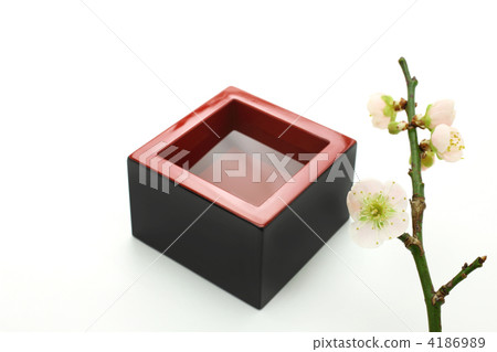 Misu and plum blossoms Misu and plum blossoms 4186989