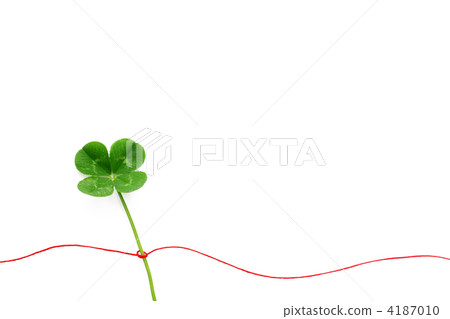 三葉草和紅線 4187010