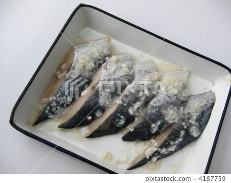 Fish salt pickled (Saki) Fish salt pickled (Saki) 4187759