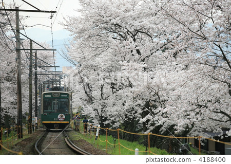 京浜電鐵櫻花隧道 4188400