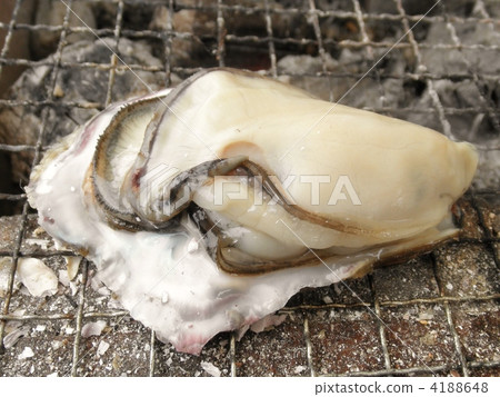 charbroiled, sumibi grill, grilled oyster 4188648