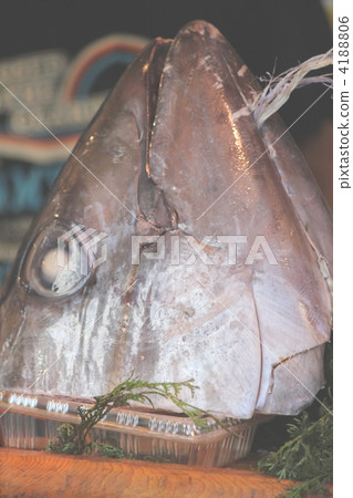 Tuna Tuna 4188806