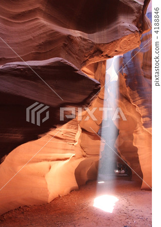 羚羊 羚羊 4188846