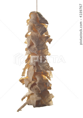 蘿蔔干片 蘿蔔乾 飲食文化 4189767