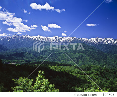 新鮮的綠色朝日預測 4190693