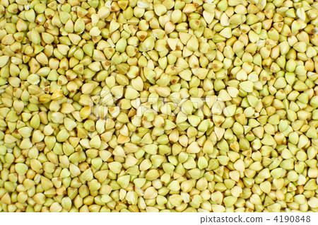 grains, corn, grain 4190848