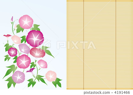 牽牛花/盲目04■Asagao·牽牛花·陰影·夏季形象·粉紅色·紅紫色 4191466