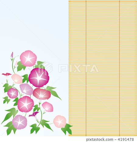 Morning glory / blind-06 ■ Asagao · morning glory · shade · summer image · pink · reddish purple 4191478