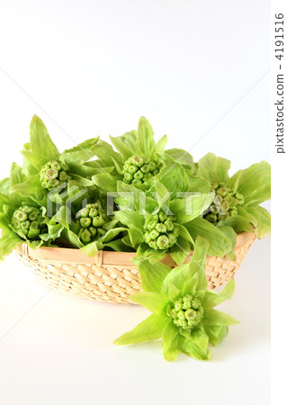 Fukinoto tow B 4191516