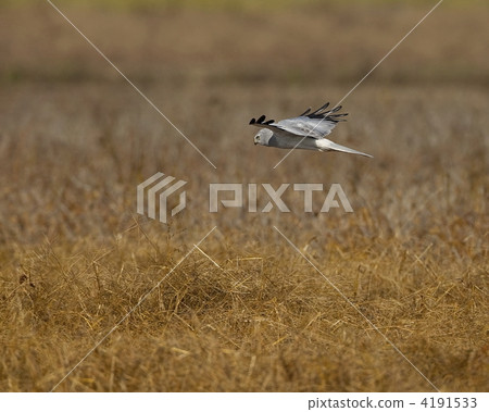 由翻譯提供支持 4191533