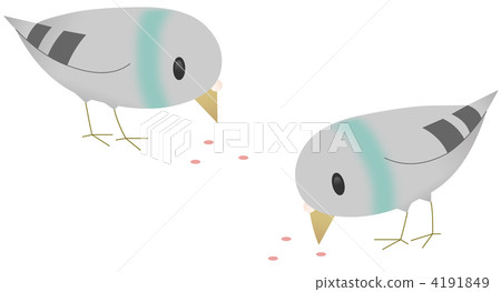 Pigeons 4191849