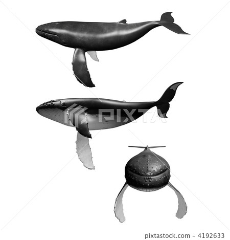 Humpback whale Humpback whale 4192633