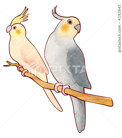 汽車薩卡鸚鵡 汽車薩卡鸚鵡 4192645