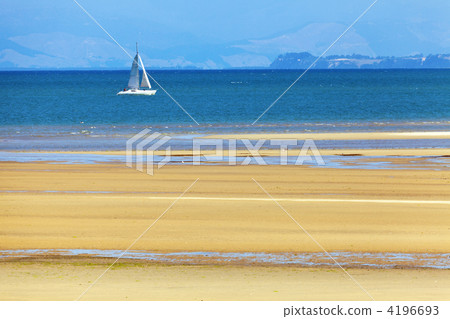 Sailing in the bay 4196693