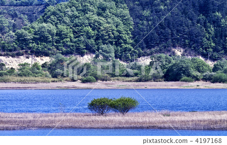 Spring of Okura dam lake Spring of Okura dam lake 4197168