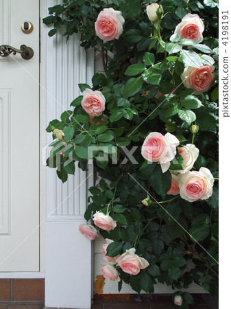 皮埃爾德龍薩爾 4198191