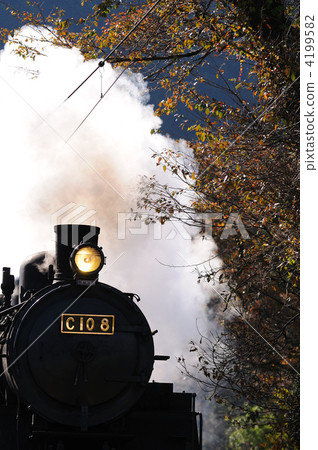Autumn SL 4199582