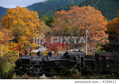 Autumn SL 4199611
