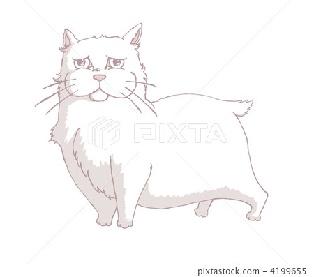 Eyes Cats Eyes Cats 4199655