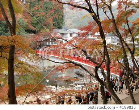 Asso / Kosuma河秋葉 4199823