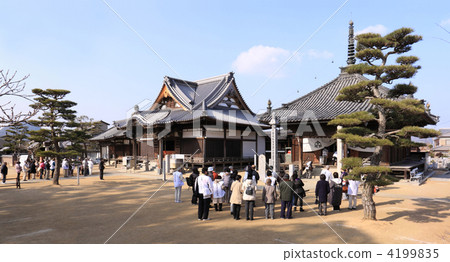 Shikoku Shrine Plant No. 87 Buddhist "Nagaoji" Main Hall and Daishodo Shikoku Shrine Plant No. 87 Buddhist "Nagaoji" Main Hall and Daishodo 4199835