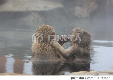 嘿嘿 嘿嘿 4199864