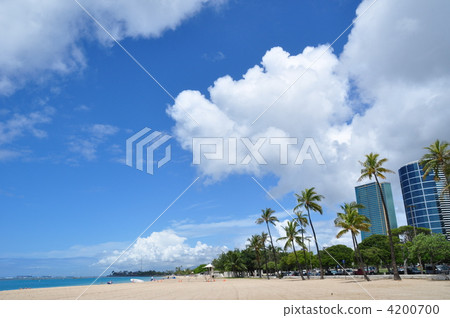 夏威夷的假期 4200700