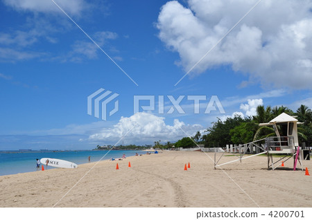 夏威夷的假期 4200701