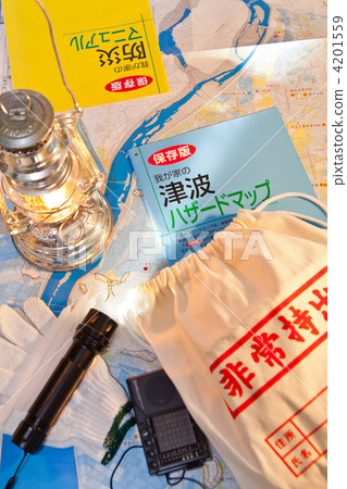 disaster disaster 4201559