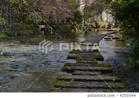 Genpei河和踩踏石 Genpei河和踩踏石 4201644