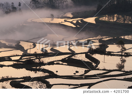 World's largest Yunnan Yuanyang Hani rice terrace 4201700