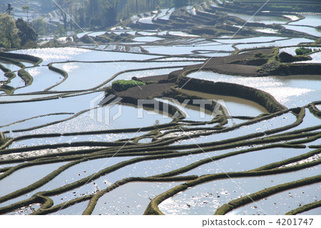 World's largest Yunnan Yuanyang Hani rice terrace 4201747