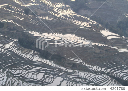 World's largest Yuanyang's Hani rice terrace 4201780