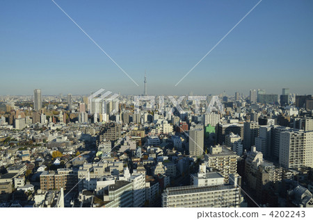 View from the Koishikawa Sky Tree View from the Koishikawa Sky Tree 4202243