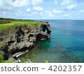 Mankind hair of Okinawa Mankind hair of Okinawa 4202357