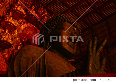 奈良的佛（奈良縣東大寺/奈良市） 4202590