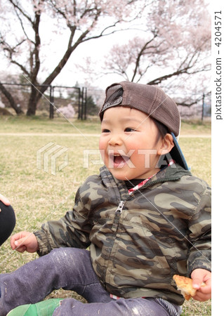 Cherry-blossom viewing  4204571