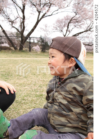 Cherry-blossom viewing Cherry-blossom viewing 4204572