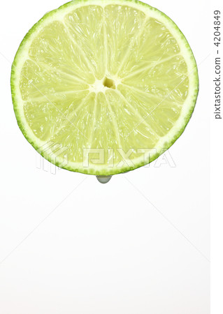 酸橙 萊姆 黃檸檬 4204849