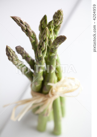 春蔬 綠蘆筍 墨西哥生產 4204959