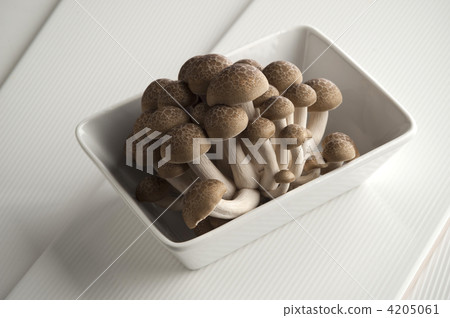 shimeji mushroom, brown beech mushroom, beech shimeji 4205061